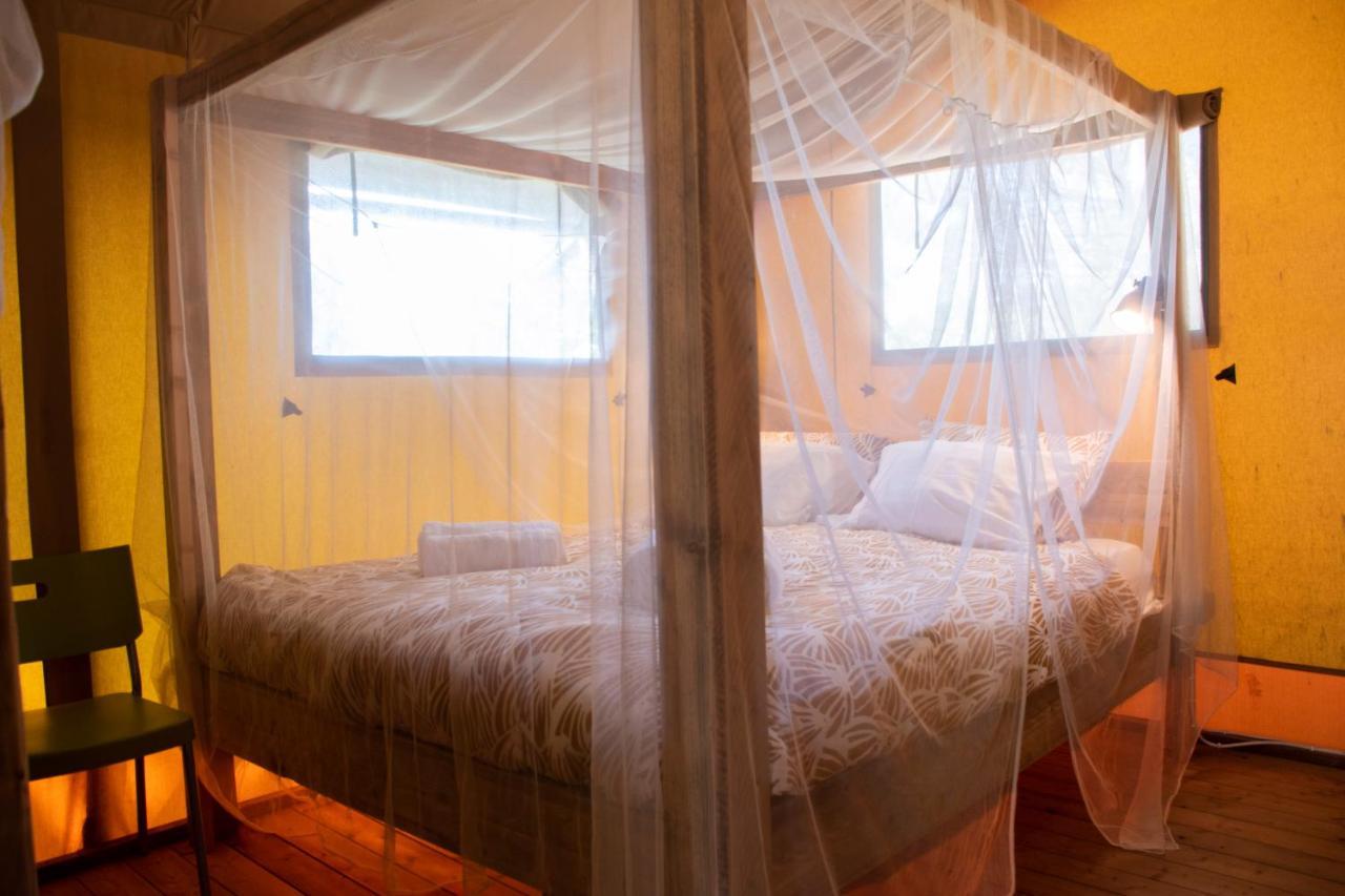 Bed and Breakfast Quinta Japonesa Carvalhal Bemfeito Zewnętrze zdjęcie