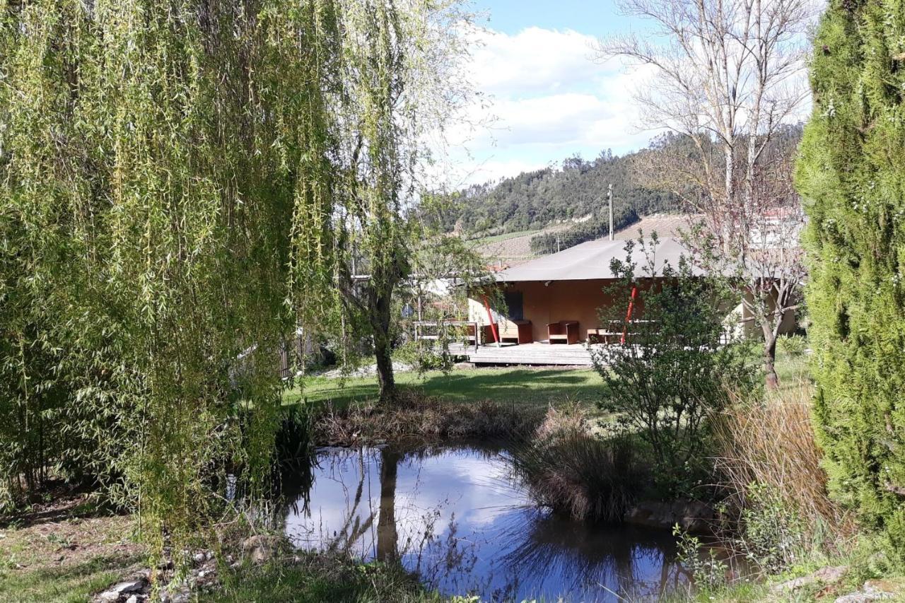 Bed and Breakfast Quinta Japonesa Carvalhal Bemfeito Zewnętrze zdjęcie