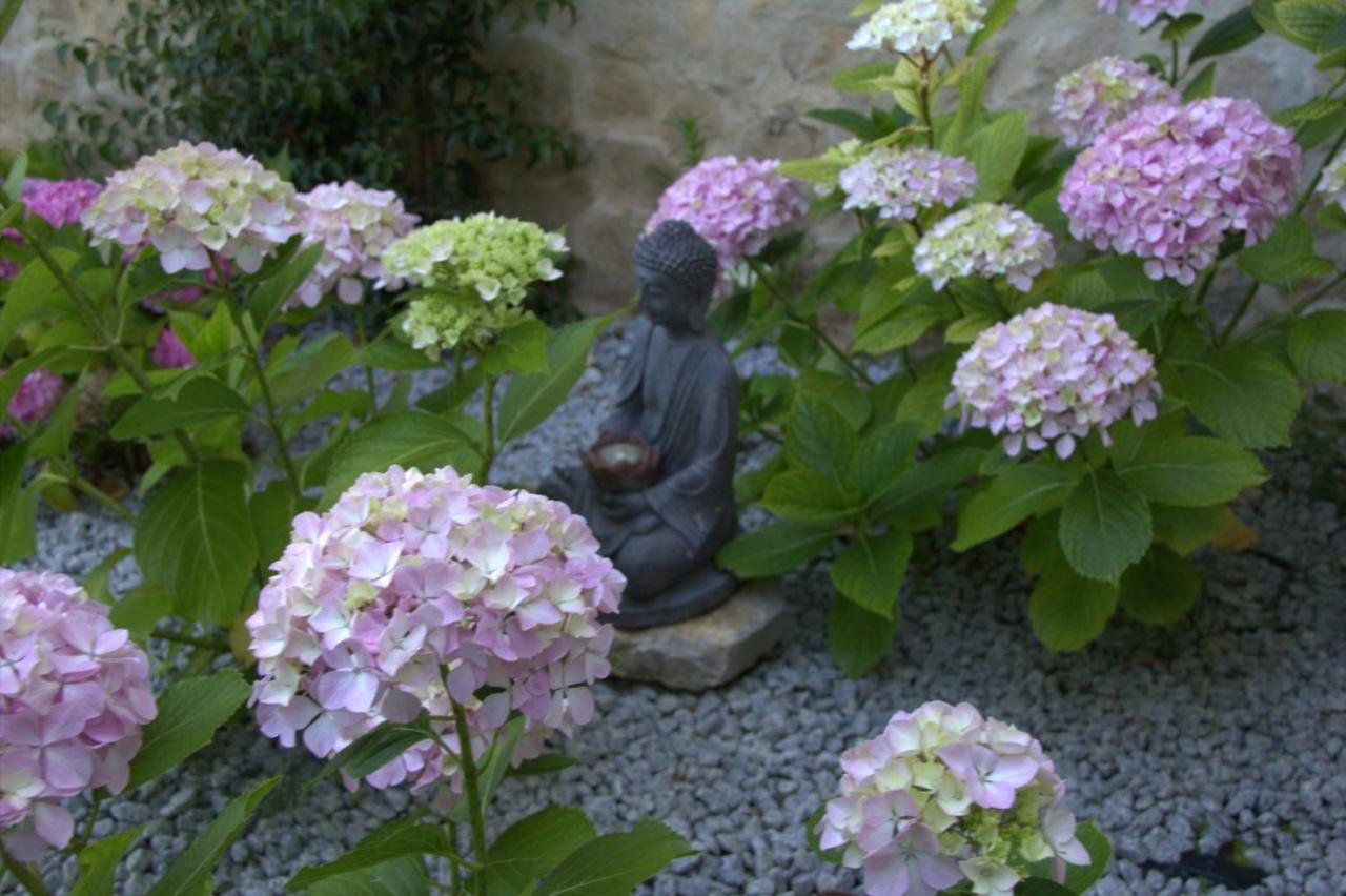 Bed and Breakfast Quinta Japonesa Carvalhal Bemfeito Zewnętrze zdjęcie